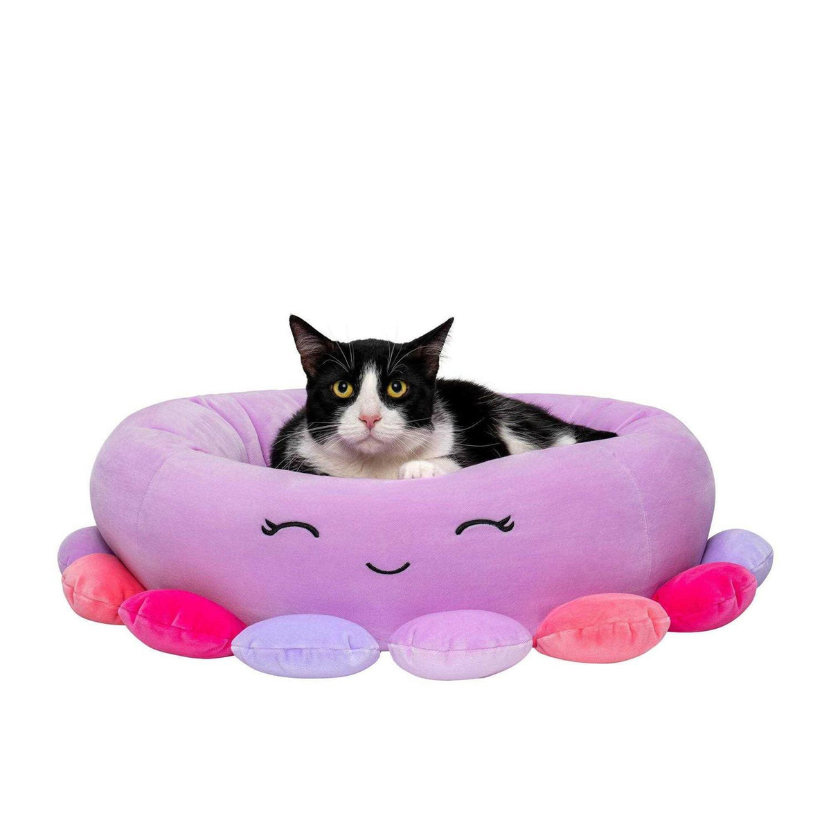 Octopus Pet Bed G5986
