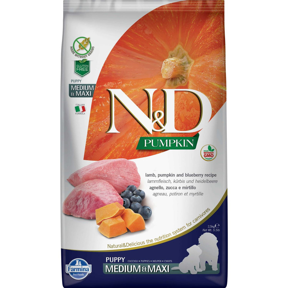 Pumpkin Lamb & Blueberry Puppy Dry Dog Food J12073