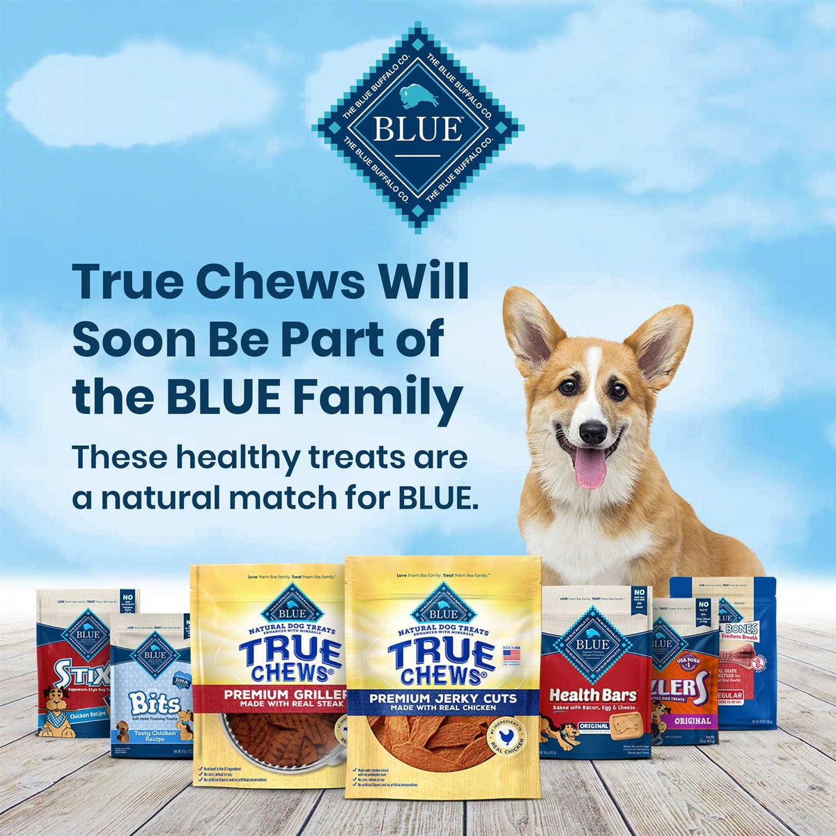 Dog Treats R2899