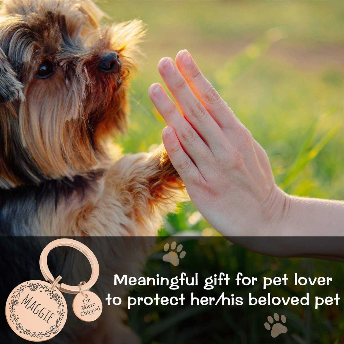 Stainless Steel Pet ID Tags X9567