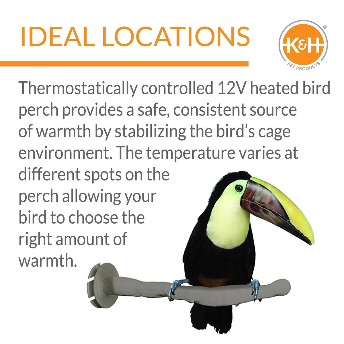 Bird Thermo-Perch I4967