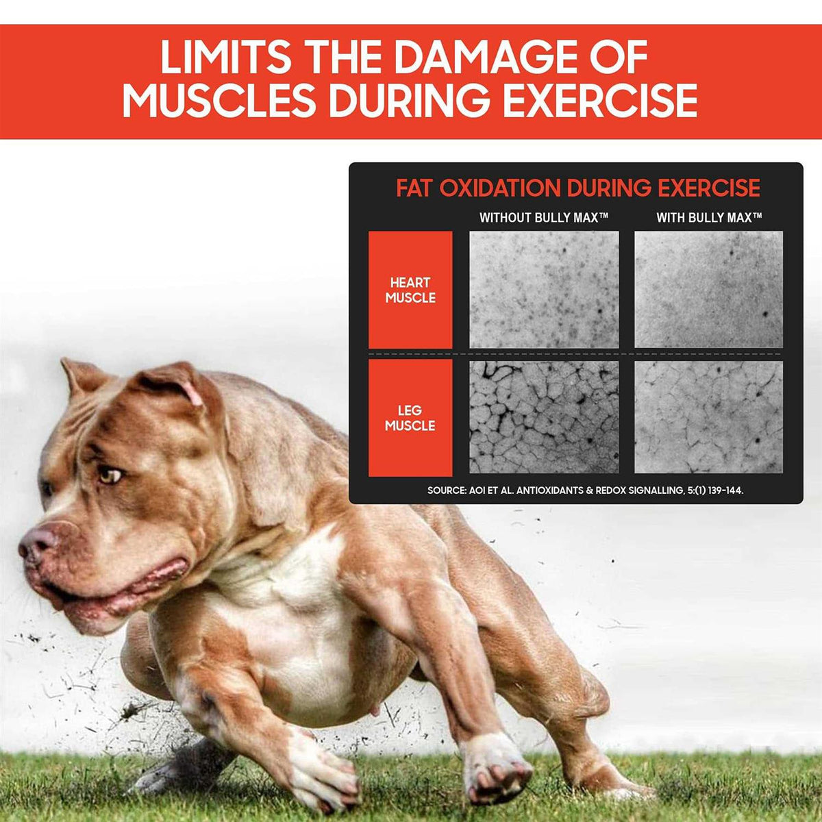 Muscle Builder for Dogs K470196