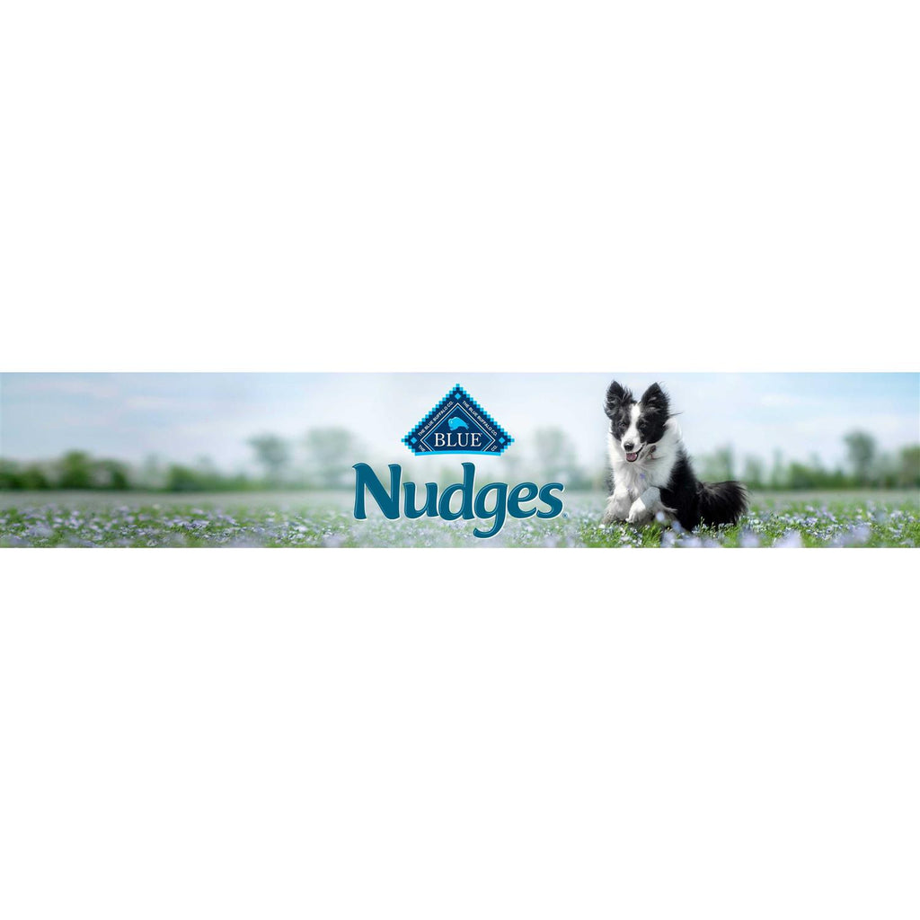 Chicken Natural Dog Treats Z3451