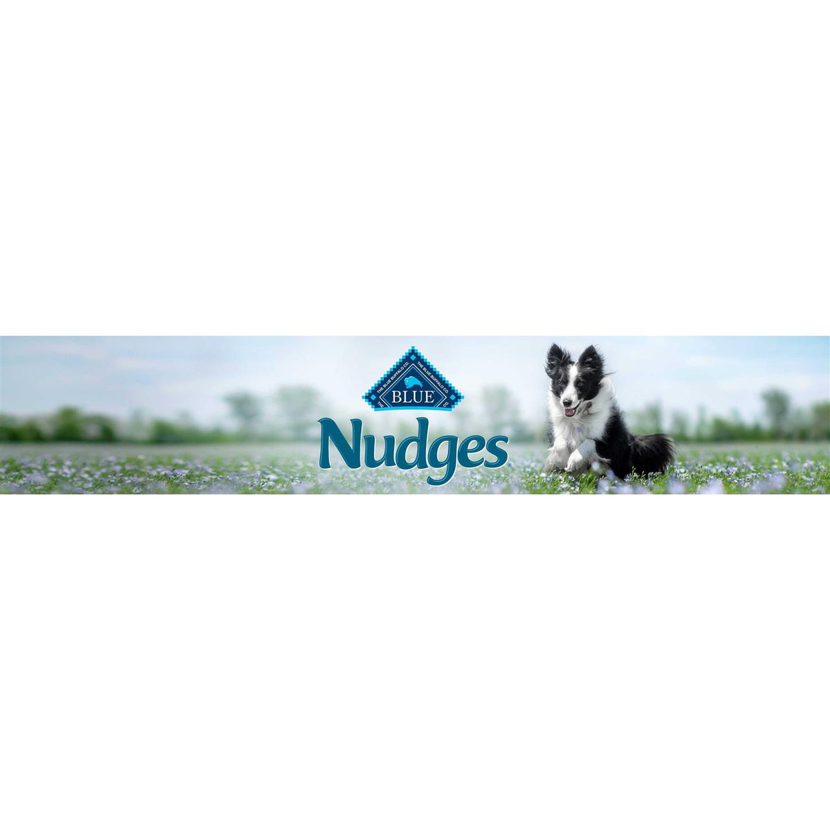 Chicken Natural Dog Treats Z3451