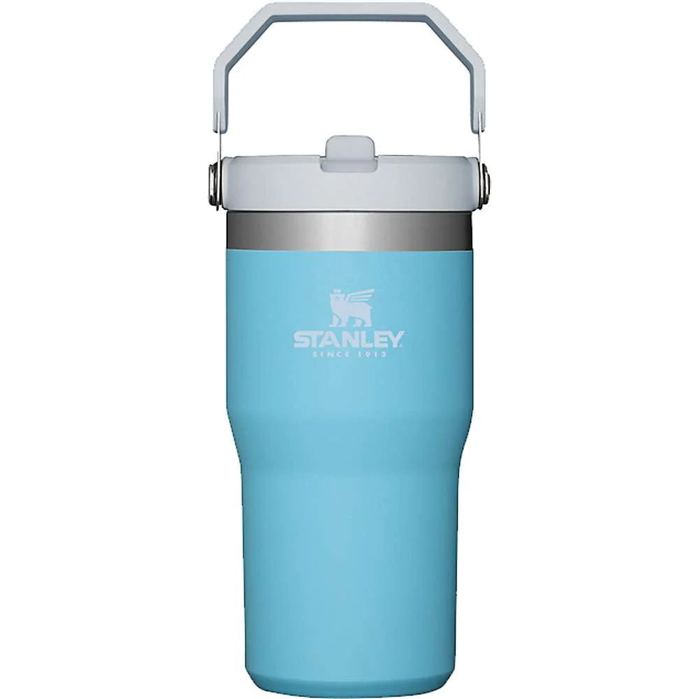 20oz Flip Straw Tumbler J204690