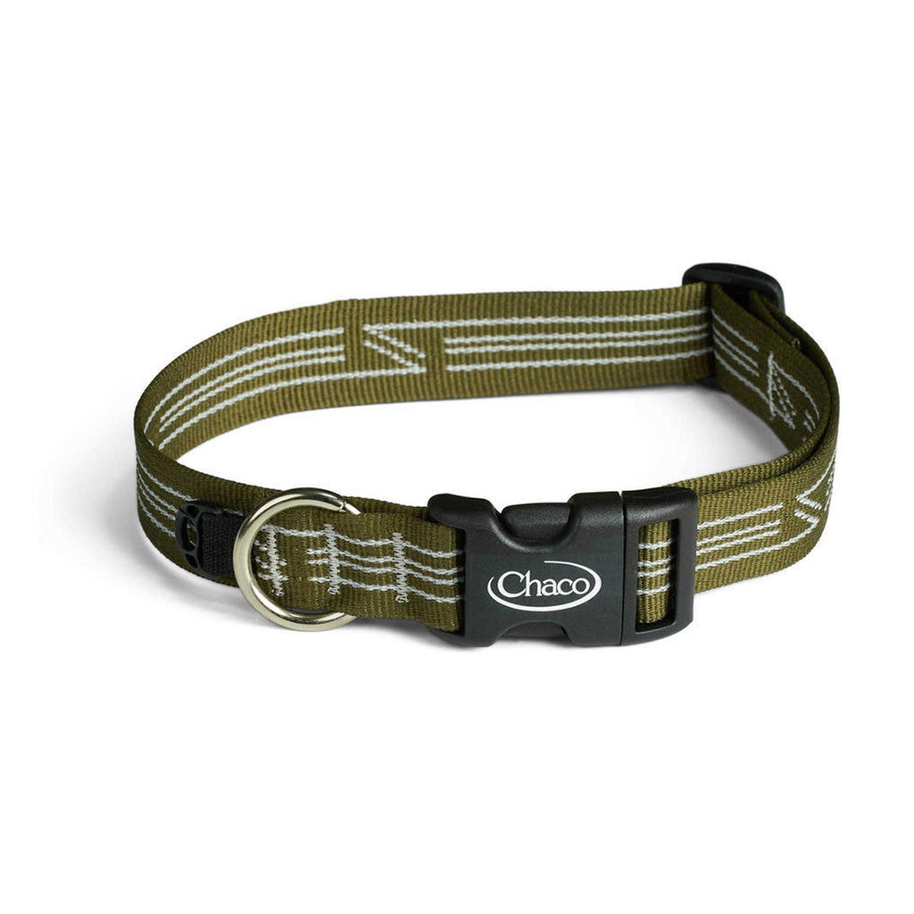 Dog Collar D943