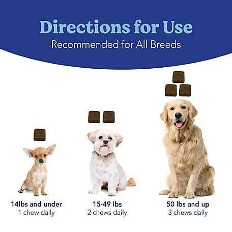 Natural Soft Chews for Dogs J645