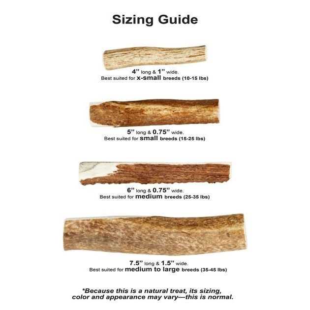 Wild Antler Split P859