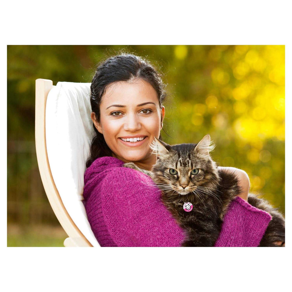Dog Cat Pet Tag Q676404