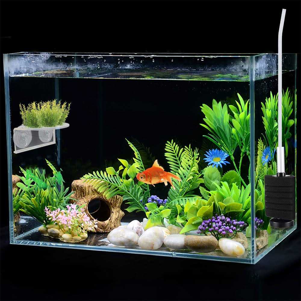 Transparent Acrylic Aquarium Shelf with Suction Cups H978279
