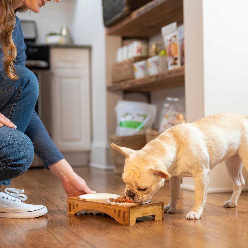 Grain-Free Dog Food Pre-Mix Z386159