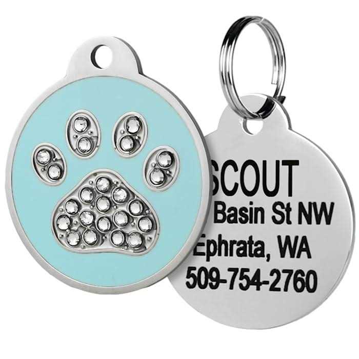 Stainless Steel Personalized Dog & Cat ID Tag R986053