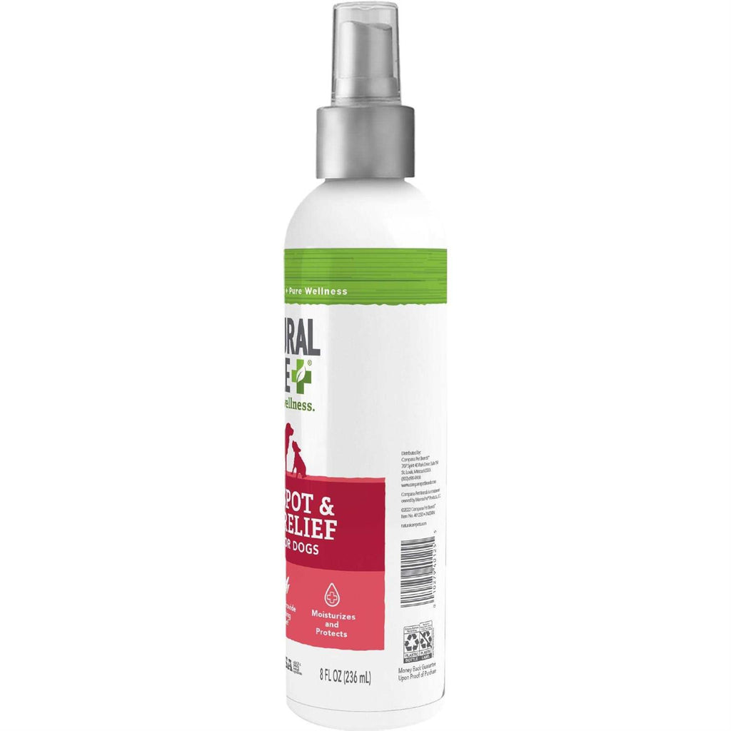 Tea Tree Oil Itch Relief Spray L6335