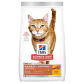 Dry Cat Food H801026