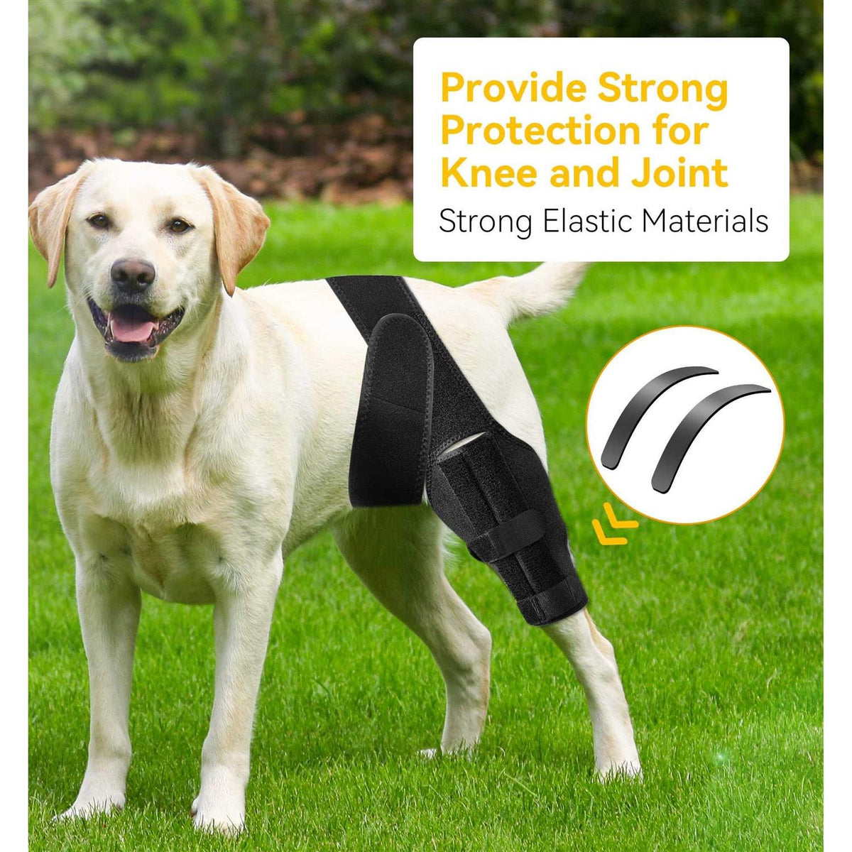 Dog Knee Brace with Cruciate Ligament X569081