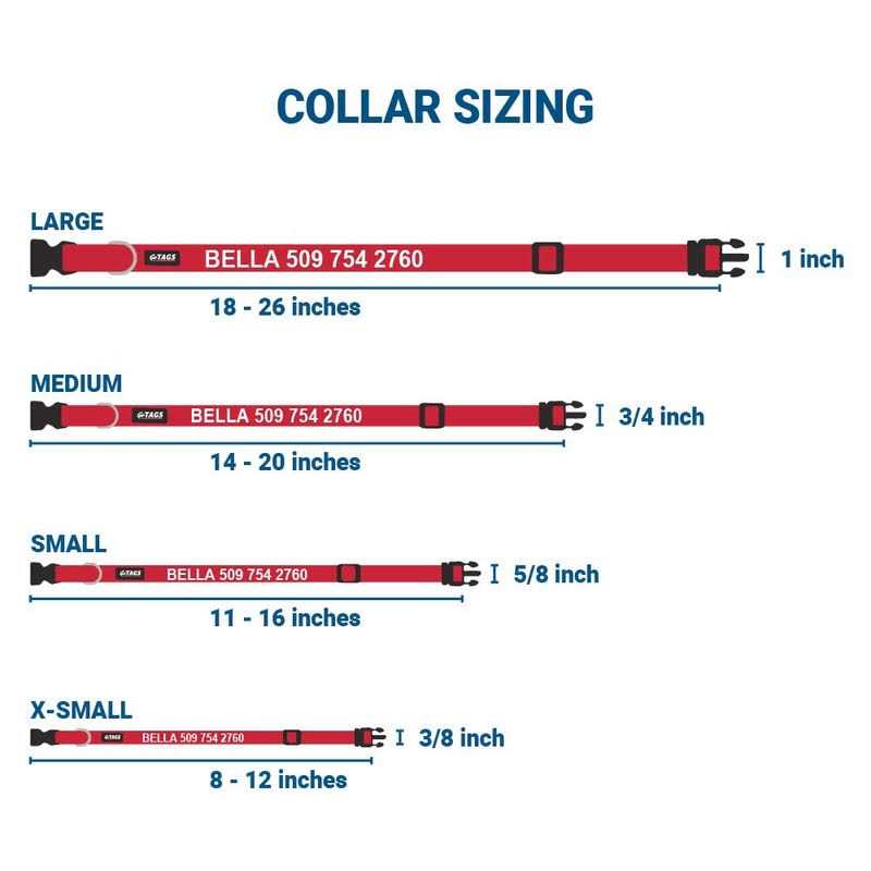 Personalized Dog Collar J99059