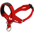 Dog Head Collar Halter B8181