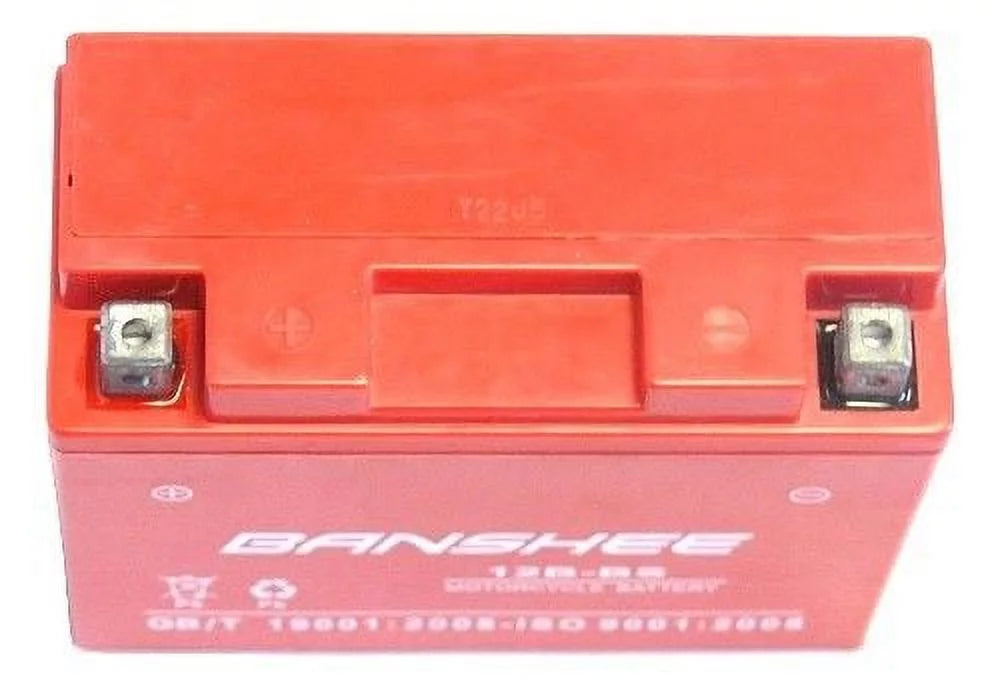Motorcycle Battery P9142