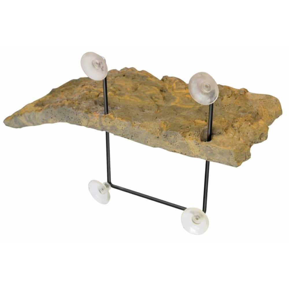Turtle Dock J232709