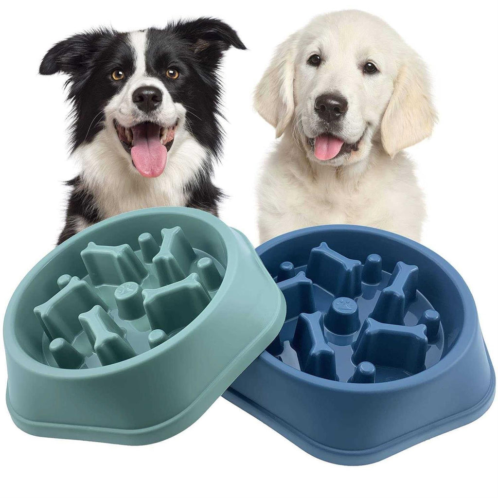 Slow Feeder Non Slip Dog Bowl E11851