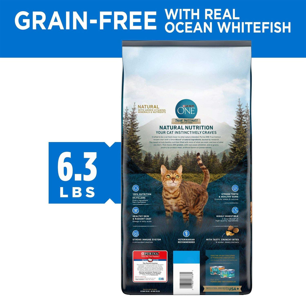High Protein Grain Free Dry Cat Food F142565