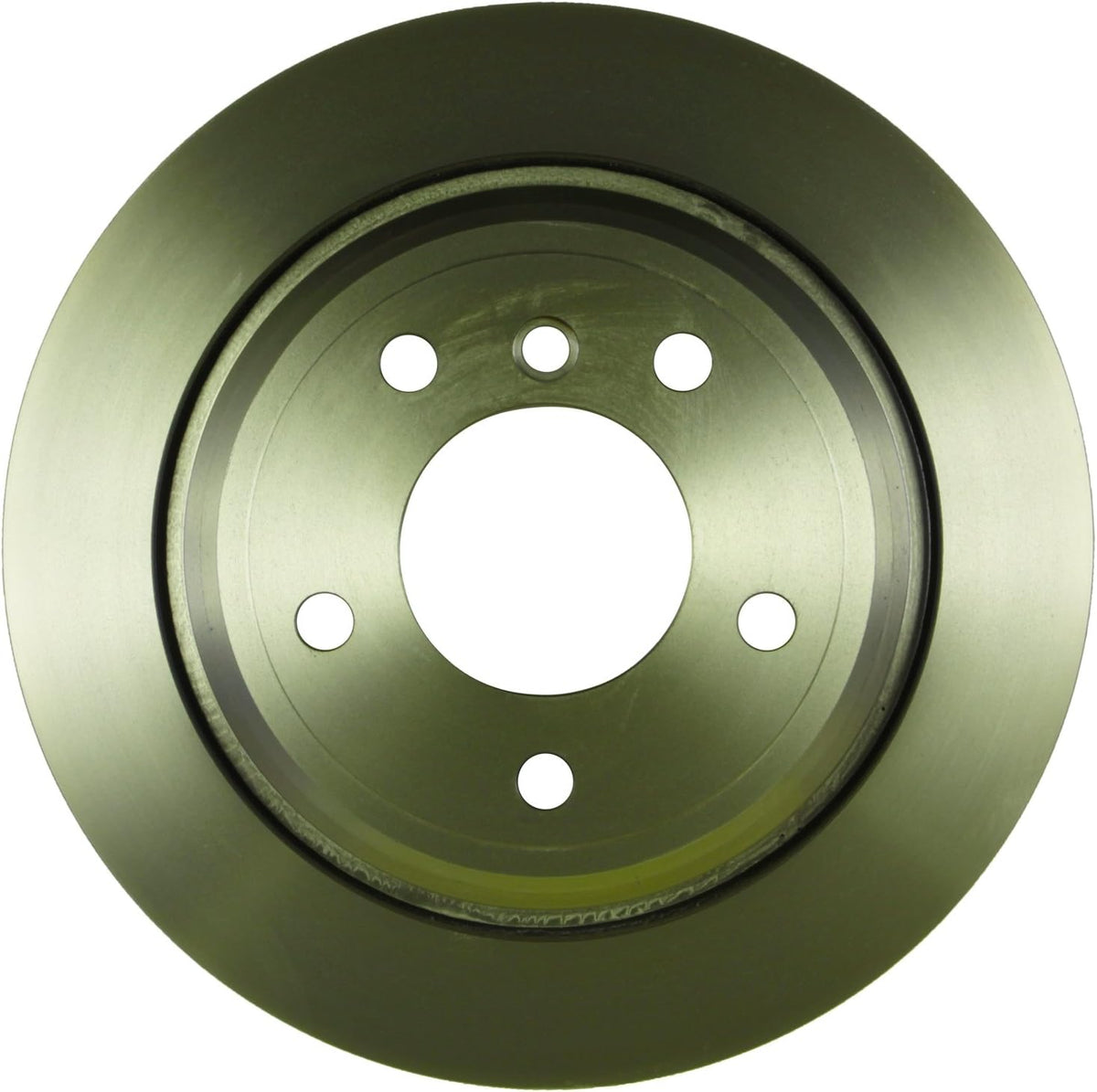 Premium Disc Brake Rotor Rear P264