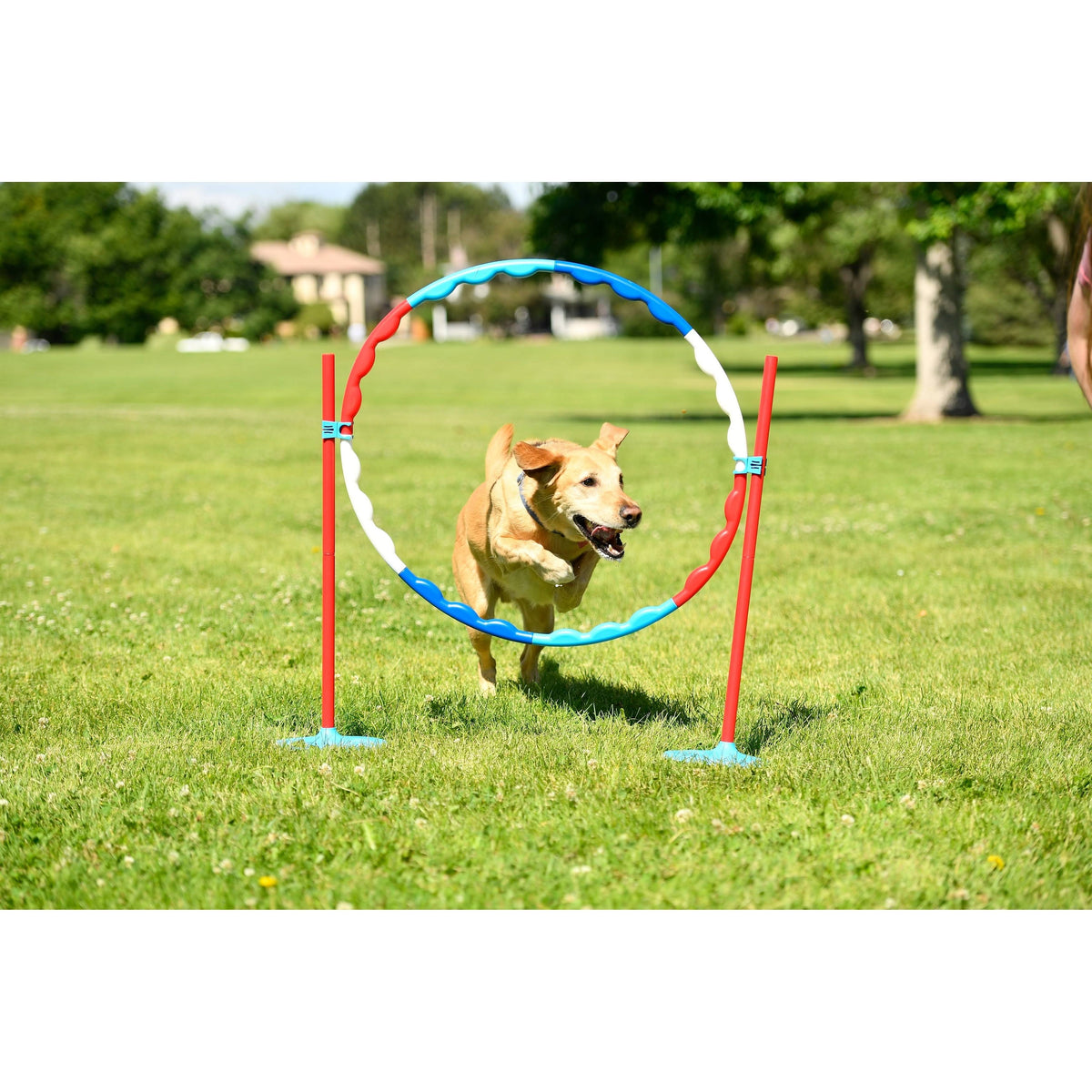 Family Agility Set X26915