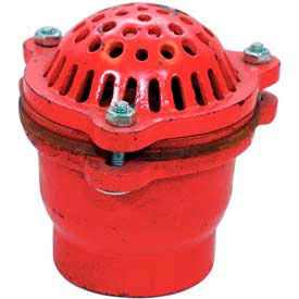 2-1/2x22 FNPT Cast Iron Foot Valve with Leather Flapper Y901587