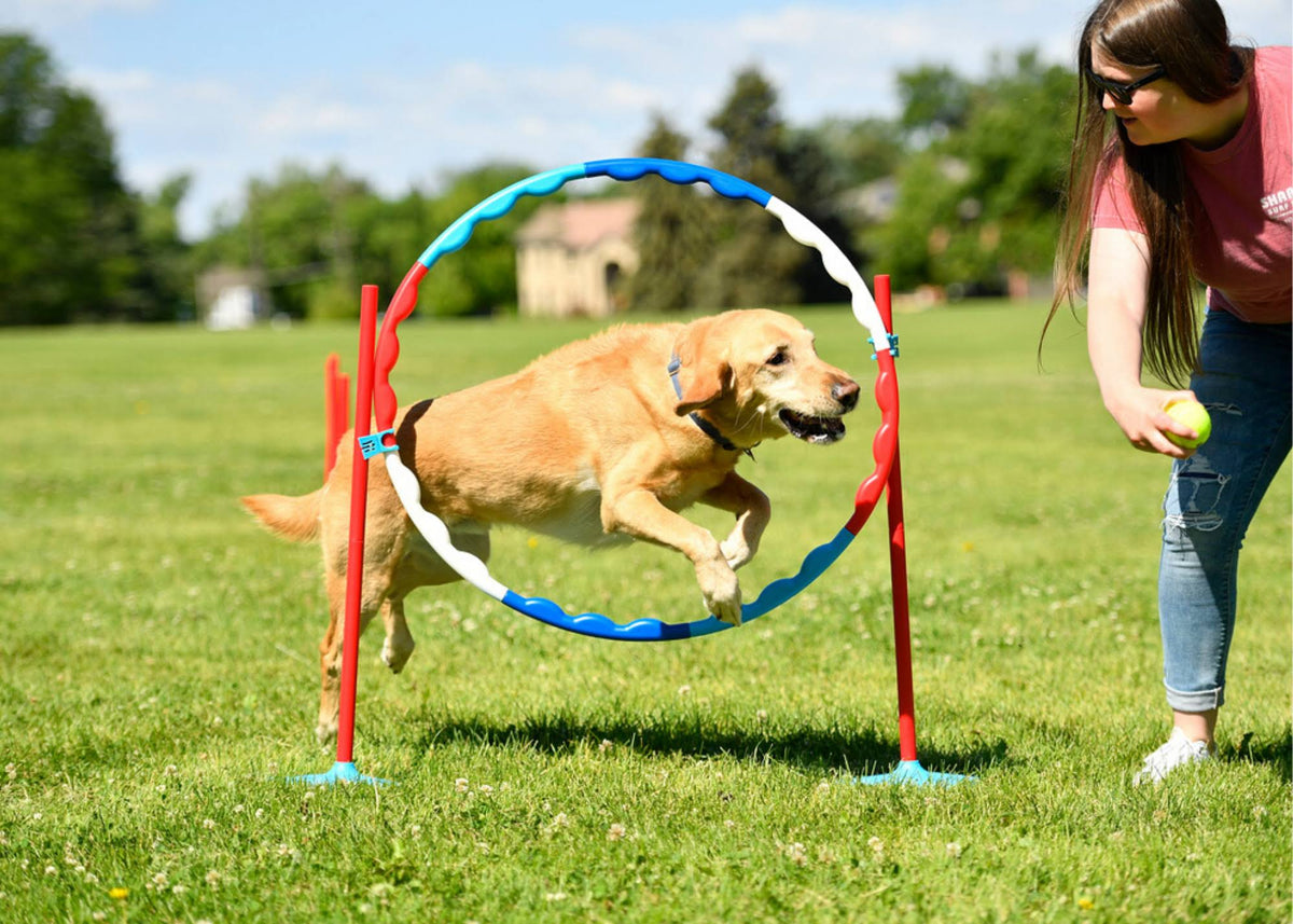 Family Agility Set X26915