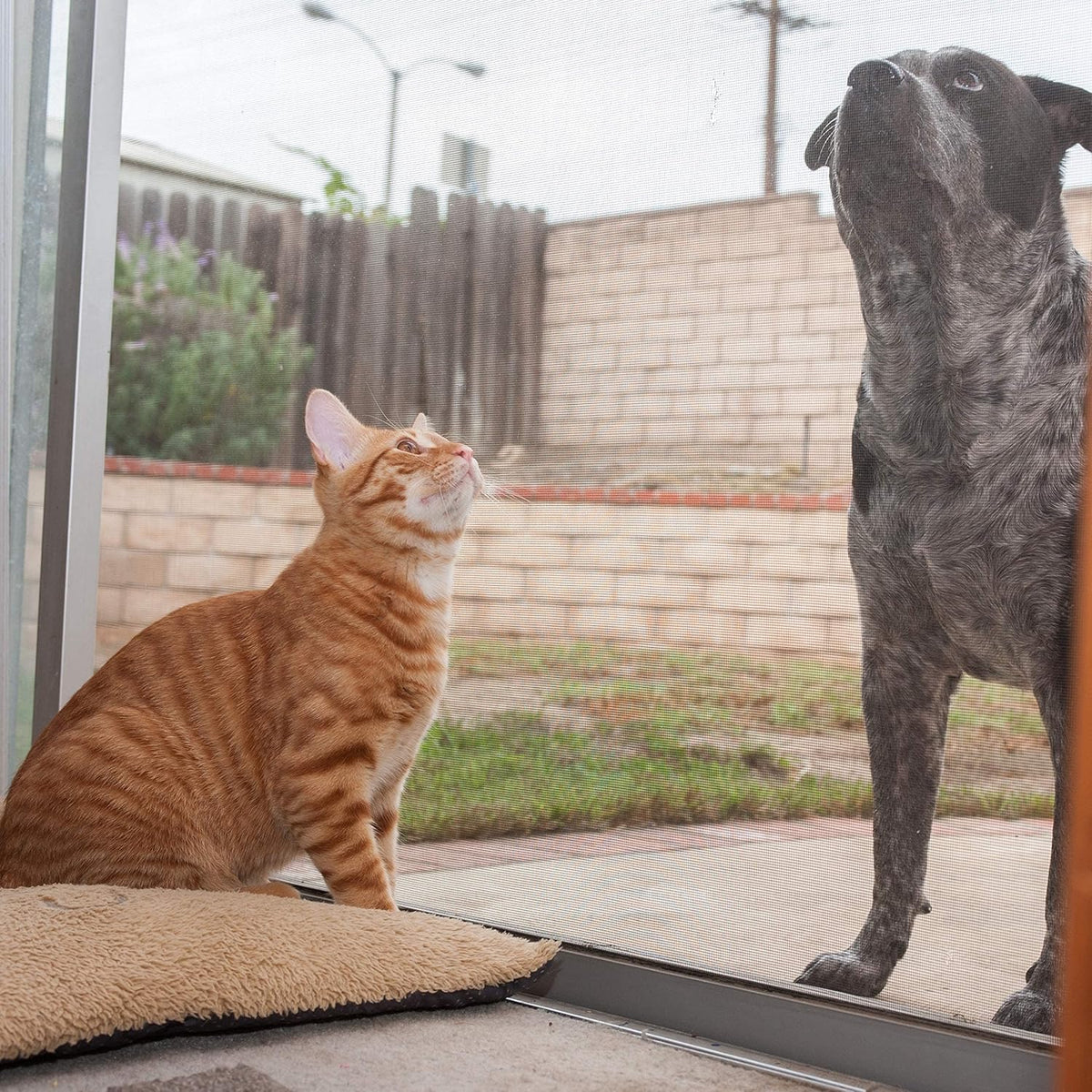 36” x 25’ Pet Proof Screen A473800