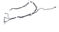 Vapor Canister Purge Hose Q31476