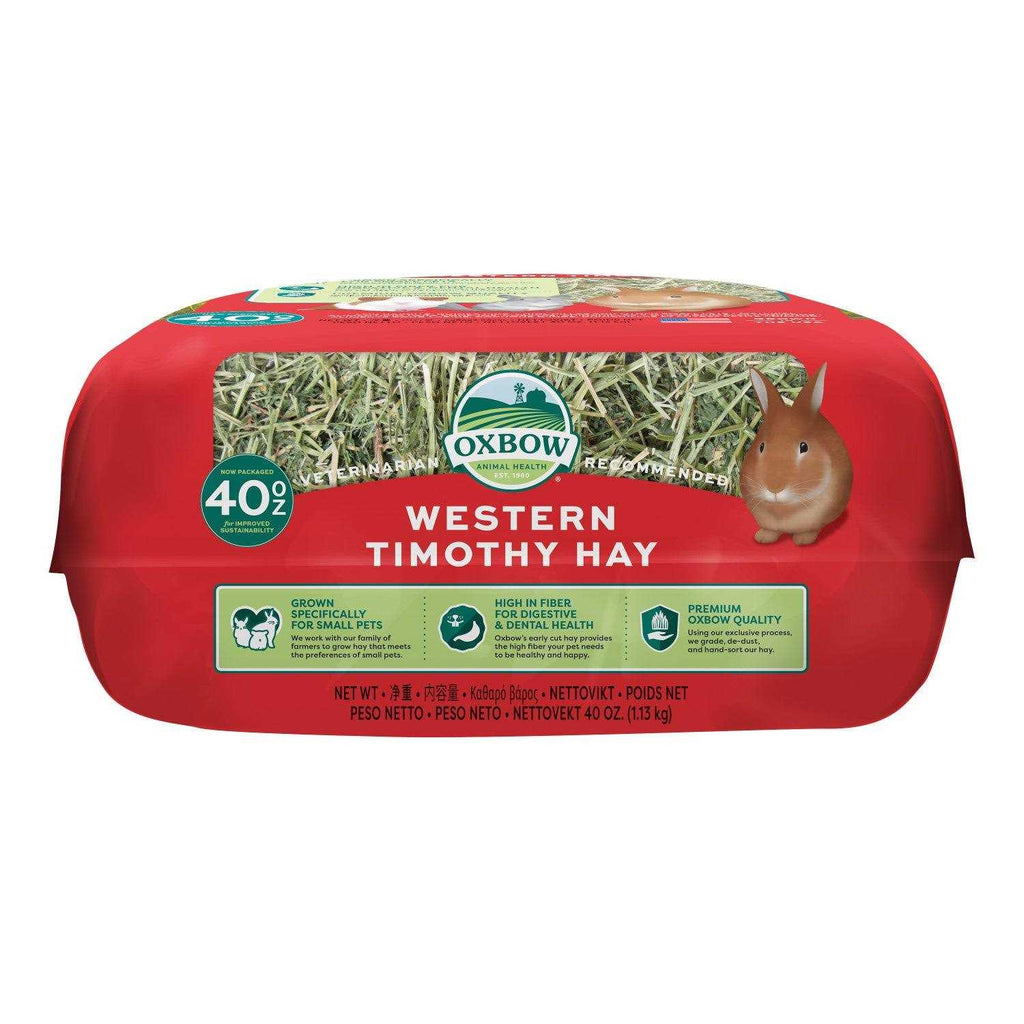 Western Timothy Hay X225249
