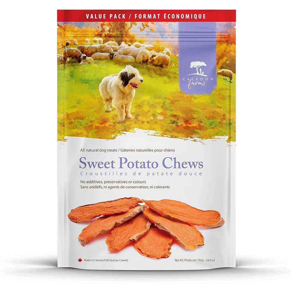 Sweet Potato Dog Treats V451