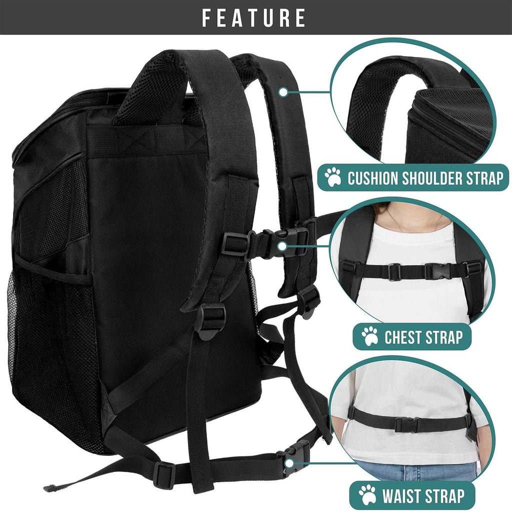 Pet Carrier Backpack X381