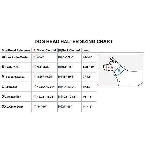 Dog Head Collar Halter B8181