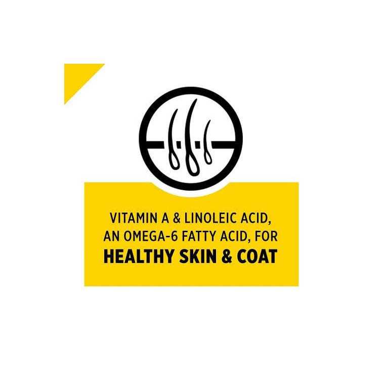 Chicken & Rice Formula Dry Dog Food D159