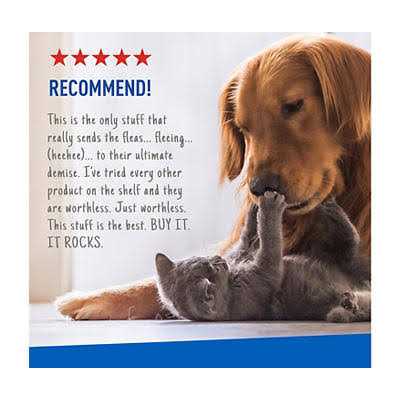 Flea Tick Spray M2970