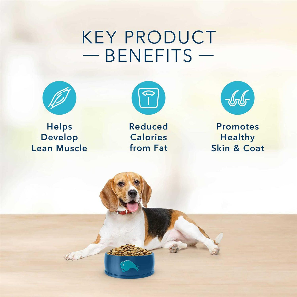 Turkey & Potato Dry Dog Food D62118