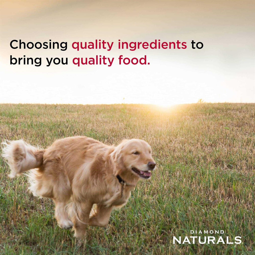 Large Breed Puppy Lamb Rice Food L742912