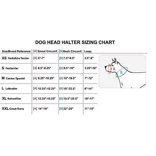 Dog Head Collar Halter B8181