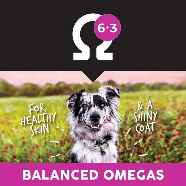 Lamb Meal & Rice Dry Dog Food Y59123
