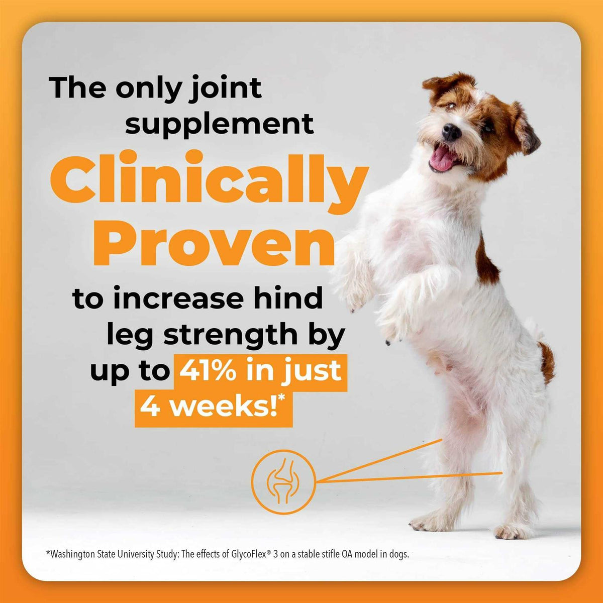 GlycoFlex Plus for Dogs A8503