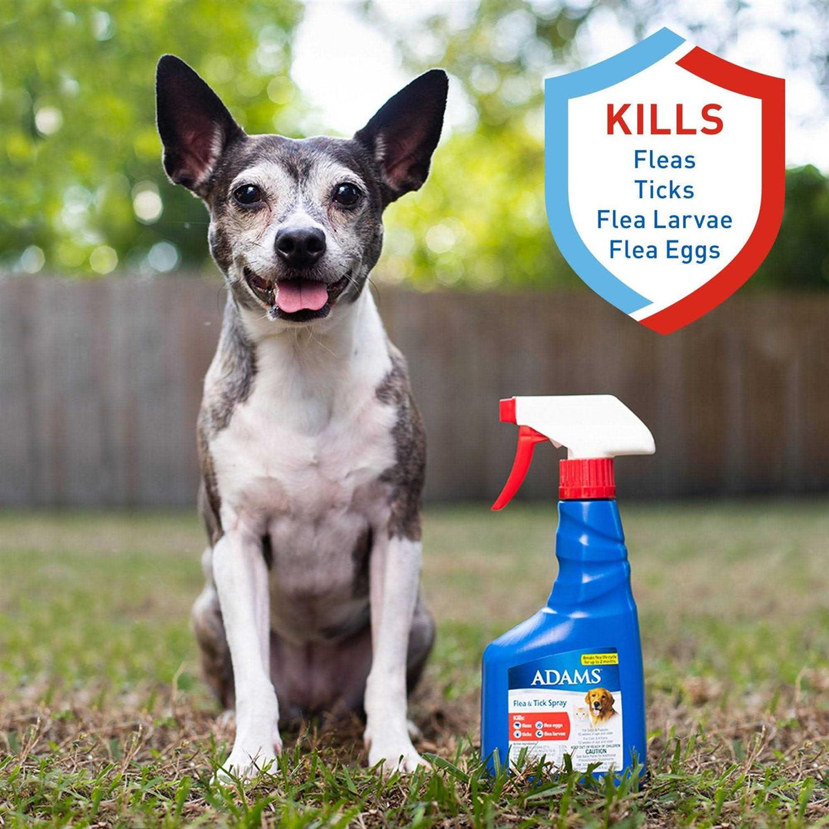 Flea Tick Spray P273