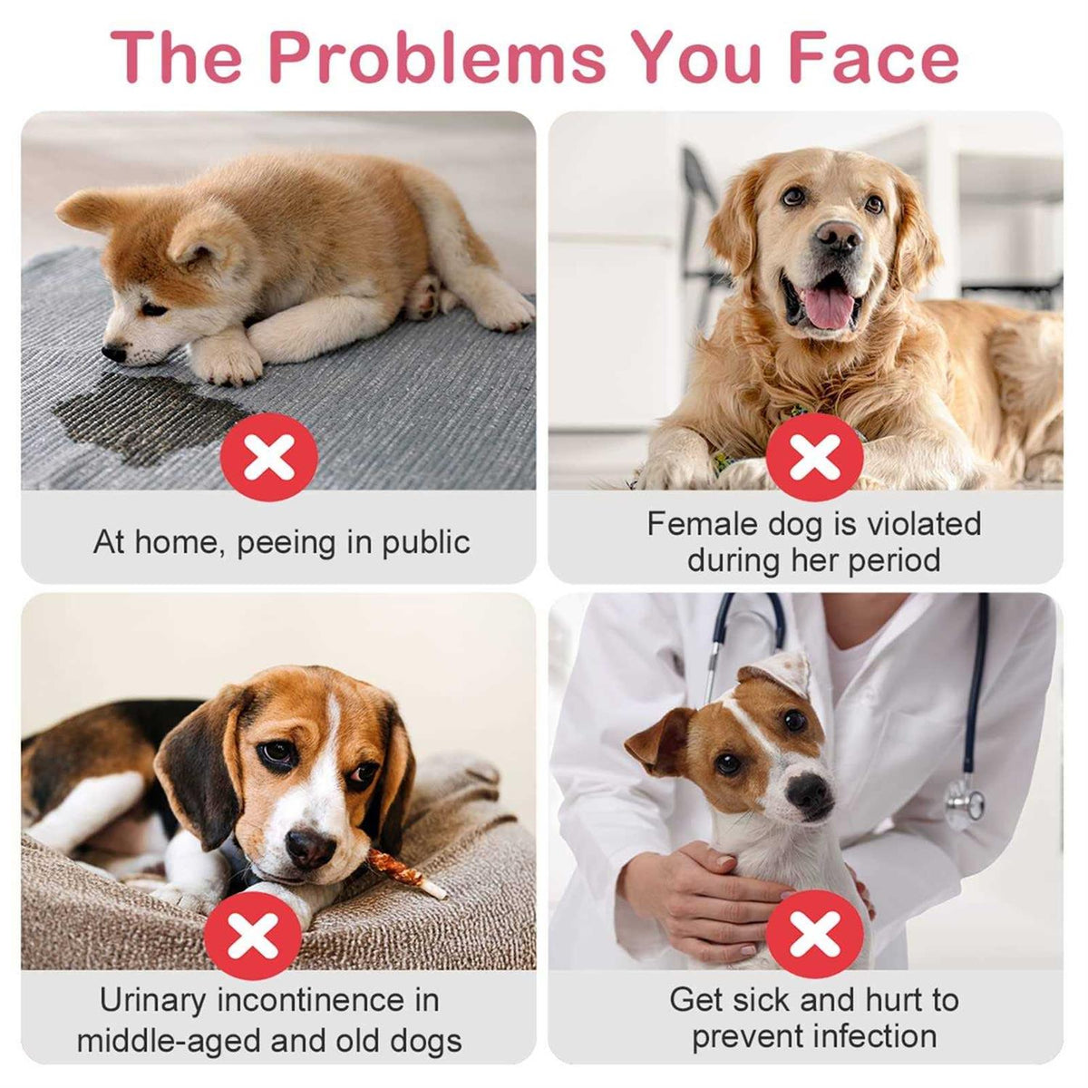 Disposable Female Dog Diapers with Adjustable Elastic Waistline U114680