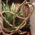 8-Foot Flexible Reptile Vines U489045