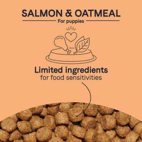 Salmon & Oatmeal Dry Dog Food A7166