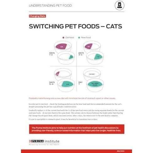 Rice Dry Cat Food P845