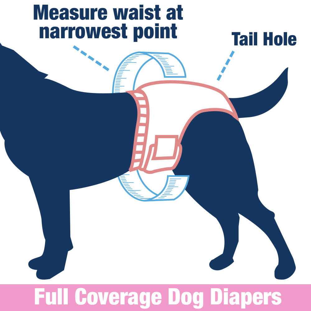 Female Dog Disposable Diapers B120621
