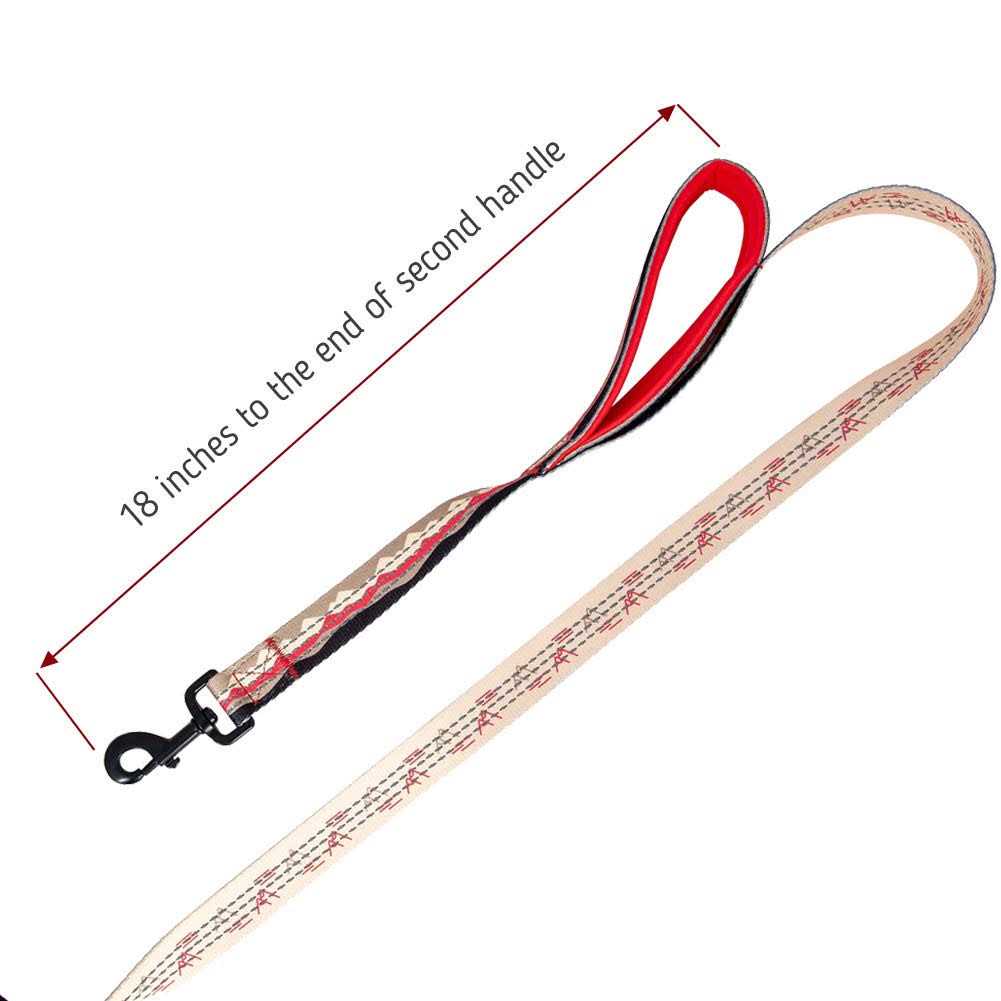 6ft Dog Leash Padded Handle U75811