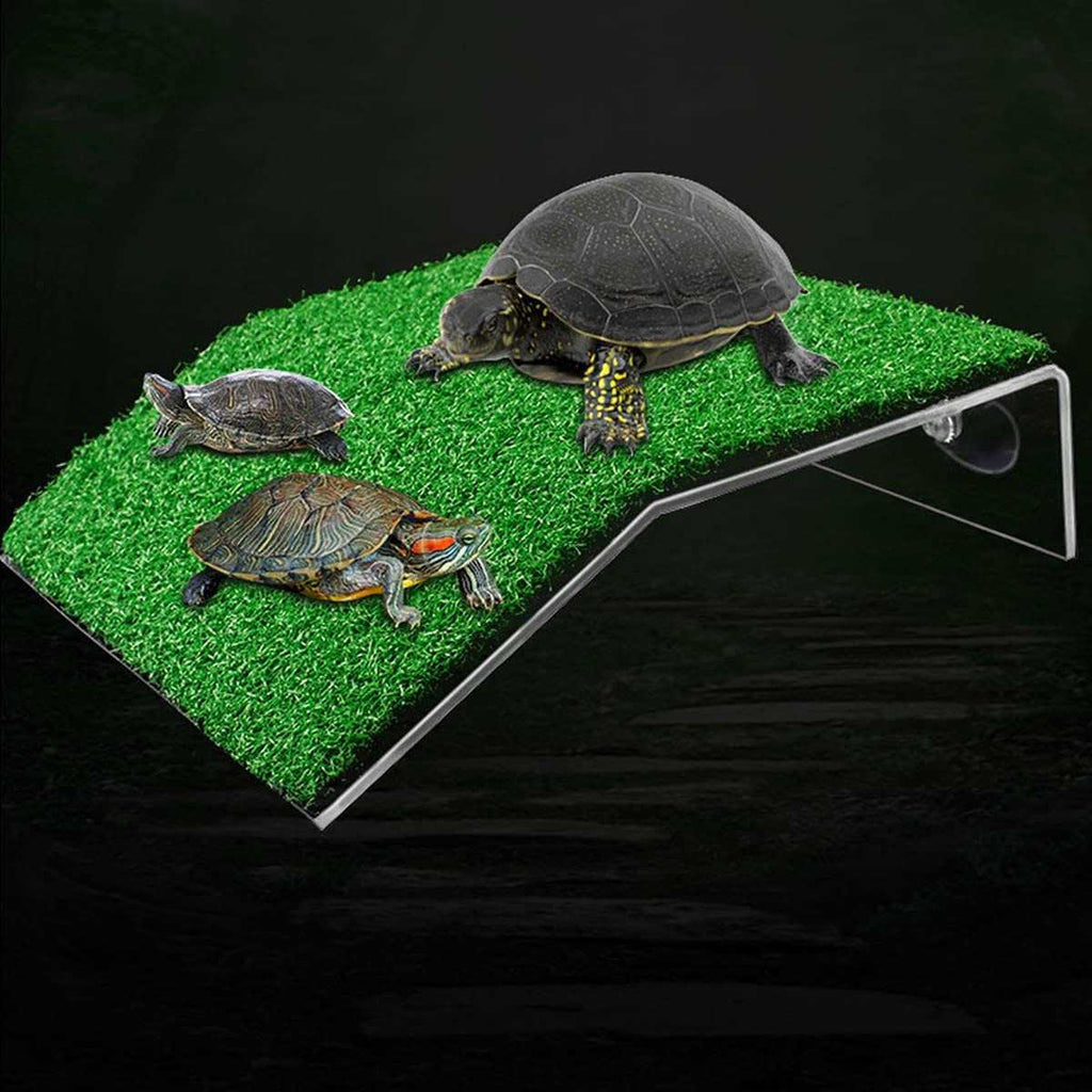 Lawn Turtle Basking Platform U512682